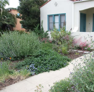 California Native Gardens